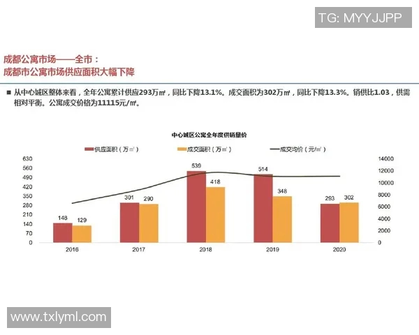成都排球队个人能力分析与表现评估研究报告