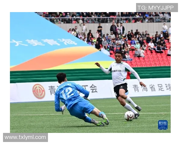 普格足球的崛起与发展探索助力地方体育文化的传承与创新