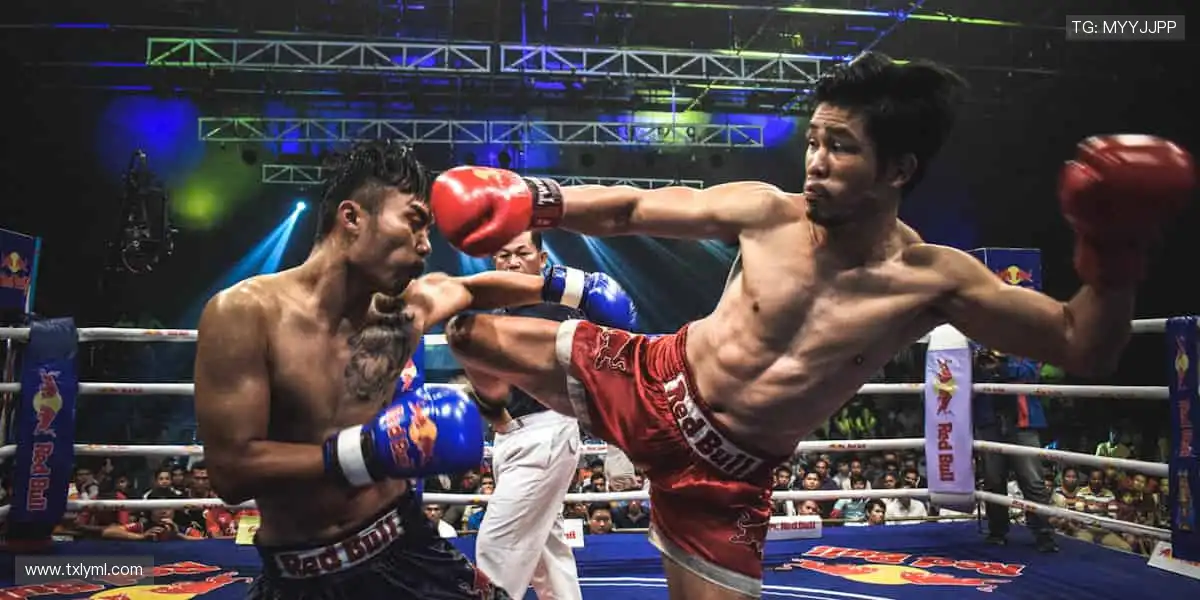 📱 实时比分、精彩回放，